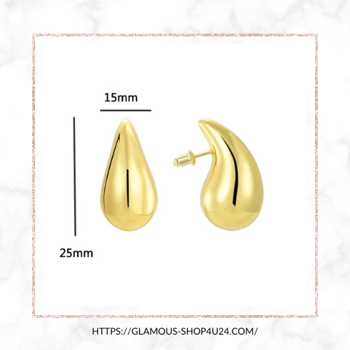 Women Jewelry Accessory Earrings